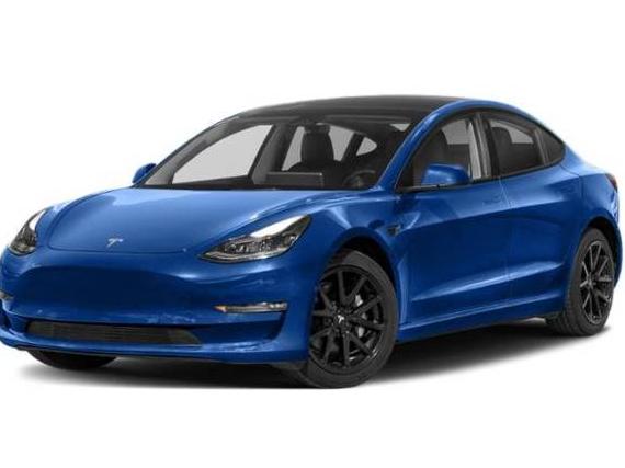 TESLA MODEL 3 2023 5YJ3E1EA5PF430253 image